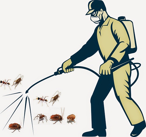 Thuốc diệt côn trùng nào có độ an toàn cao?